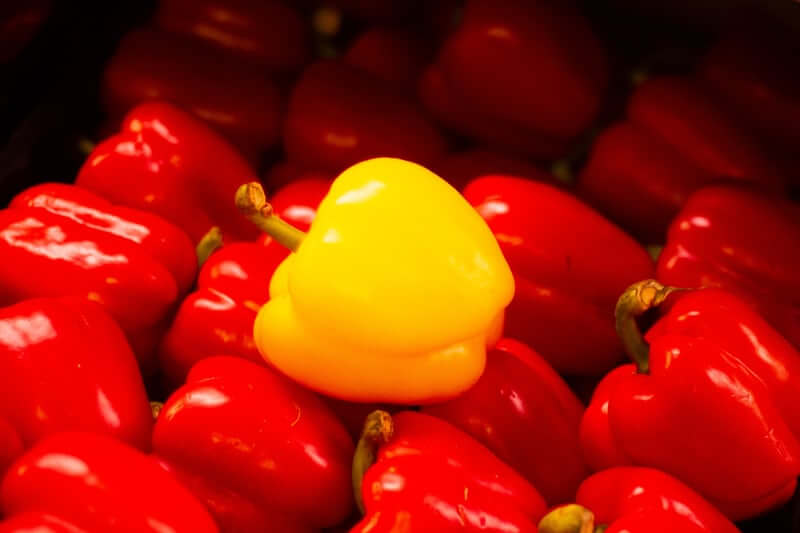 A single yellow pepper surrounded by red peppers.